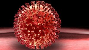 Corona Virus
